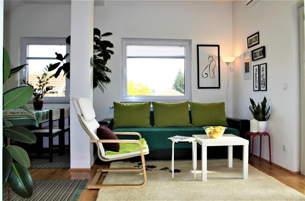 Central Modern Apt Struga Exterior photo